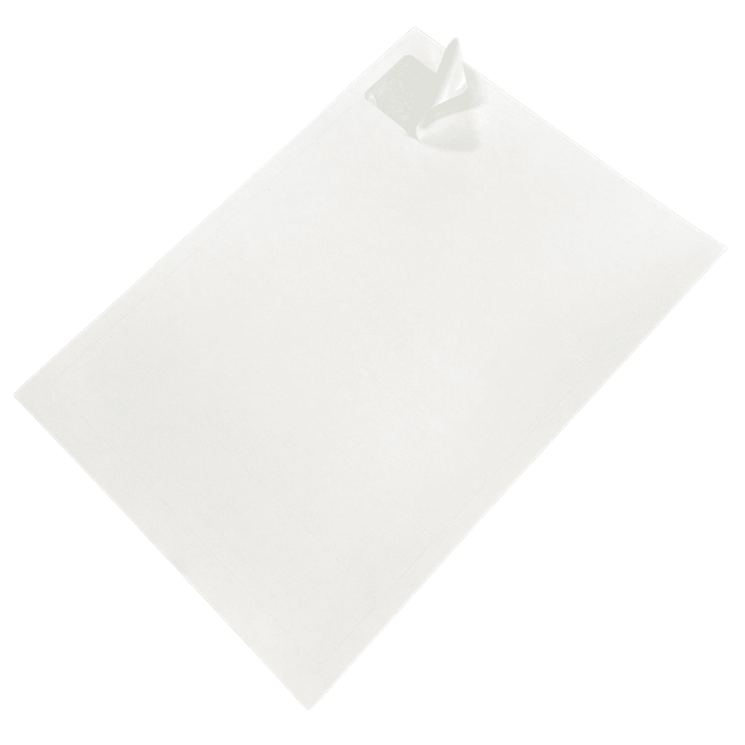 Special Delivery/Signed For Laser Labels - 192x39mm